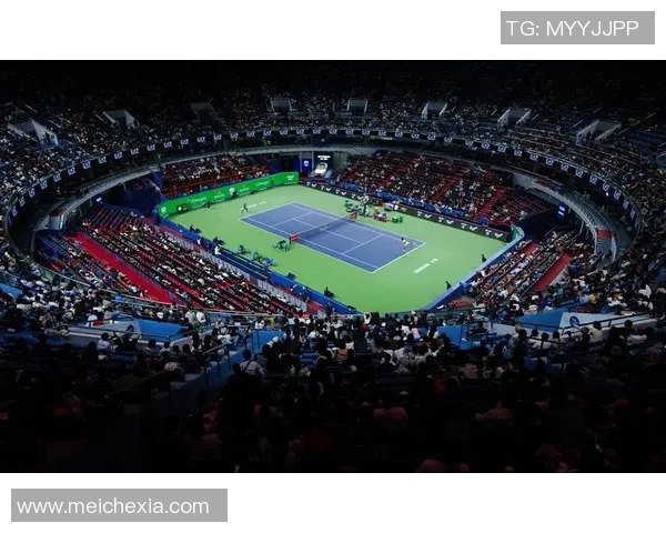 上海网球队在全国网球团队协作排行榜中荣获第六名的佳绩分析